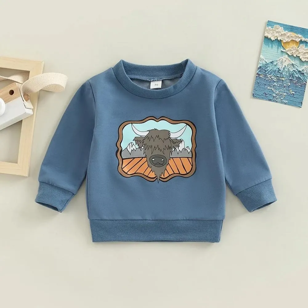Baby Boy Cartoon Print Autumn Sweatshirt Wholesale Baby Clothes