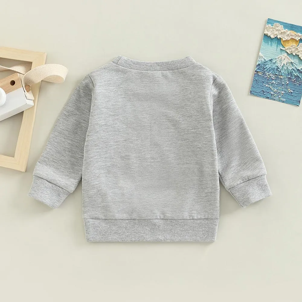 Baby Boy Cartoon Print Autumn Sweatshirt Wholesale Baby Clothes