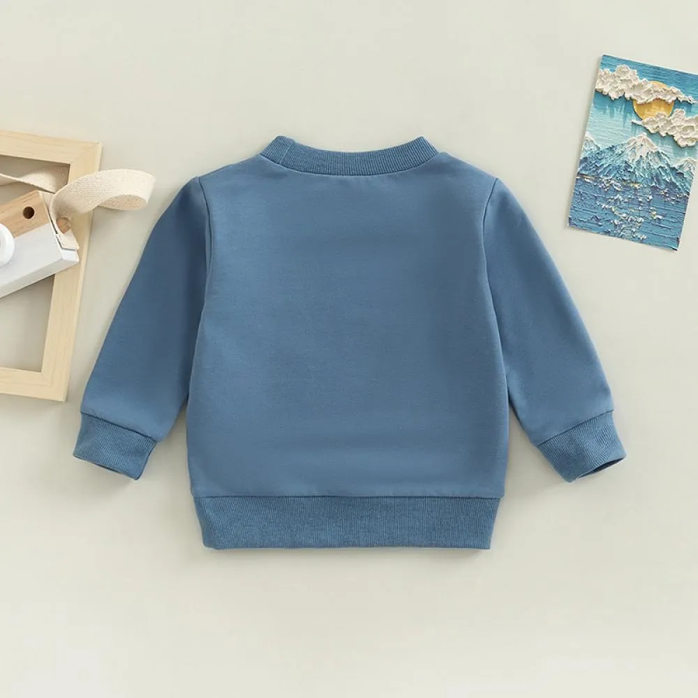 Baby Boy Cartoon Print Autumn Sweatshirt Wholesale Baby Clothes