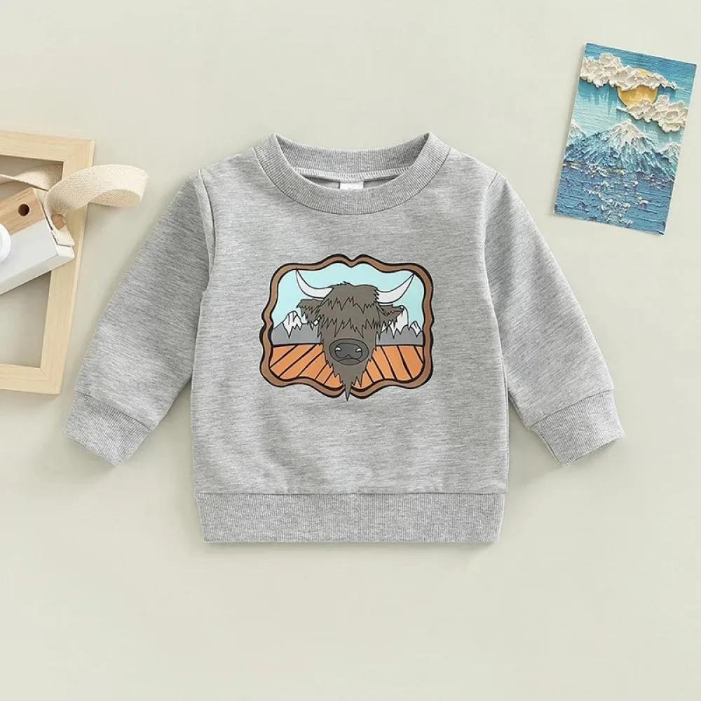 Baby Boy Cartoon Print Autumn Sweatshirt Wholesale Baby Clothes