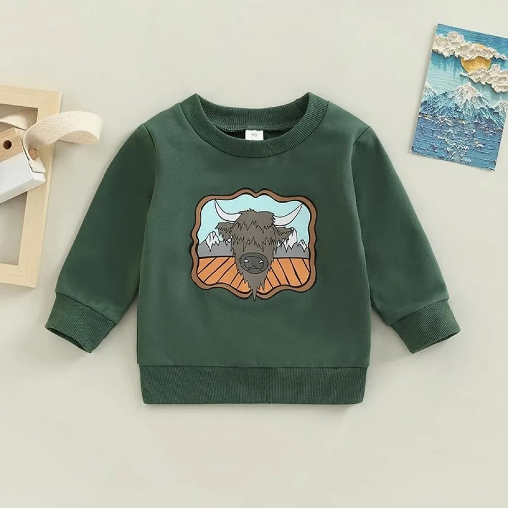 Baby Boy Cartoon Print Autumn Sweatshirt Wholesale Baby Clothes